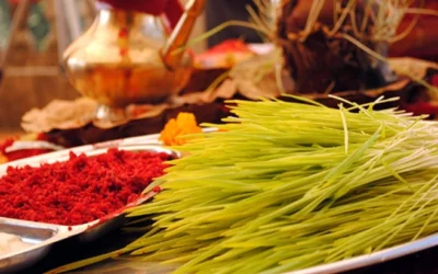Dashain Celebration 2024